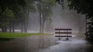 Meteorological Department has predicted