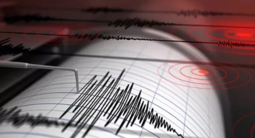 Strong earthquake tremors felt