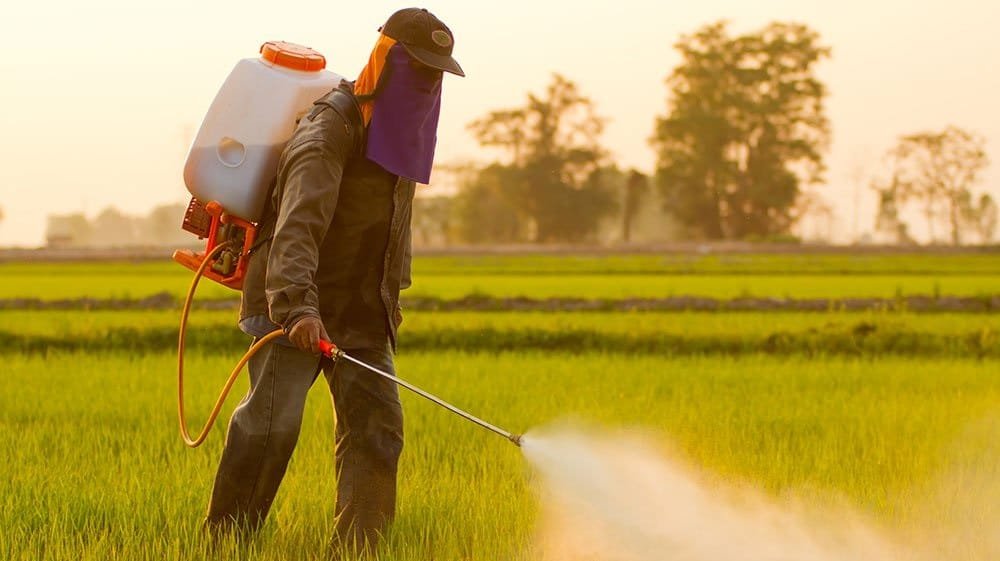 National Food Security announces